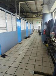Asia Pacific Breweries (D22), Factory #508604621